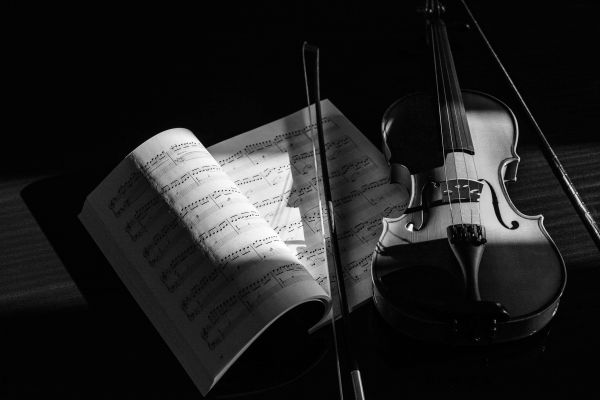 Les meilleures plateformes pour des cours de violon à Bordeaux